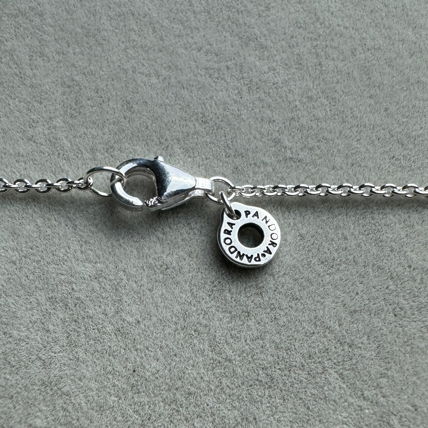 Collar Doble Disco Logotipo 55 cm (Ajustable A 50 Y 45 cm)