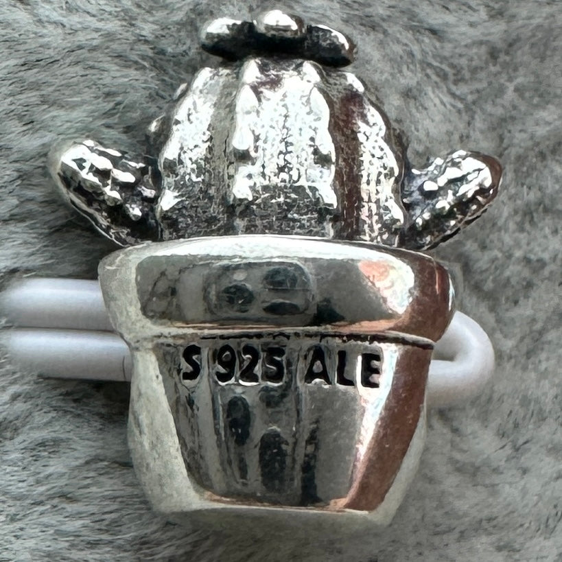 Charm Cactus Feliz Pandora Vista Desde Atrás