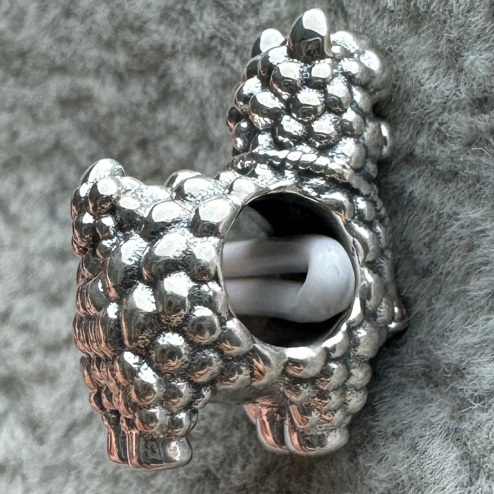 Charm Llama