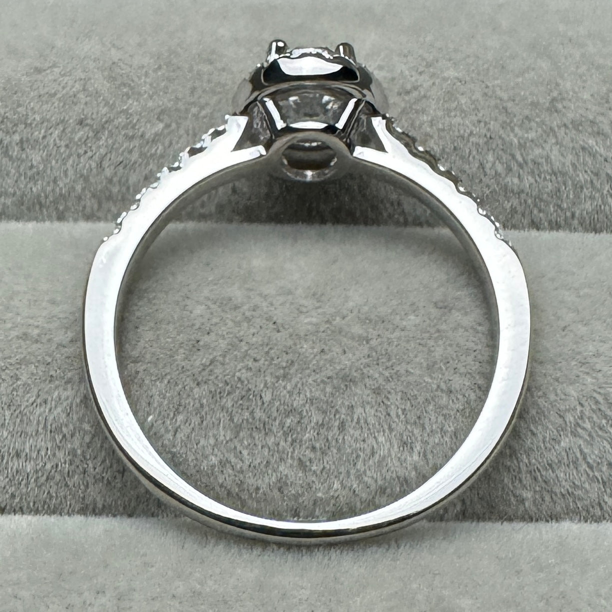 Anillo Óvalo Contorno Moissanita