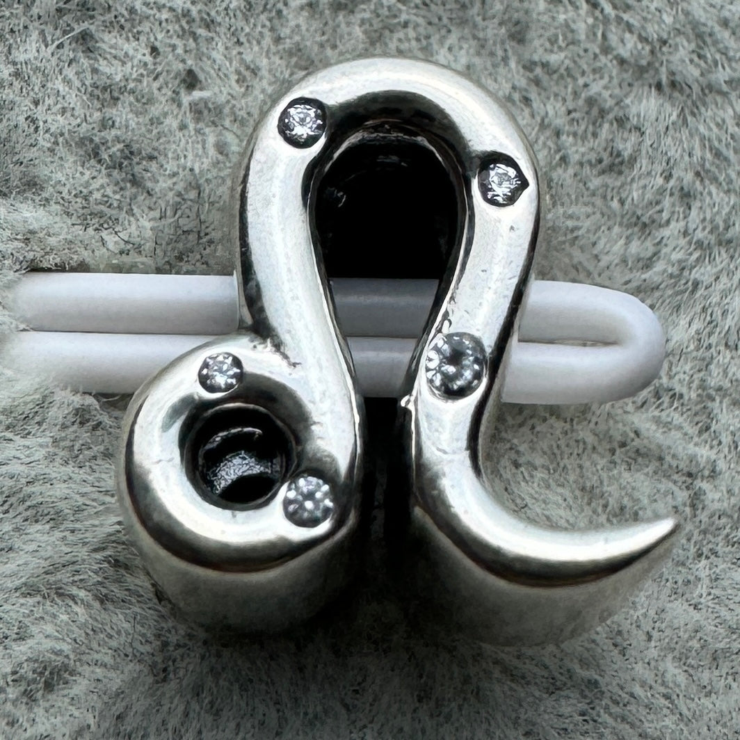 Charm Signo Del Zodiaco Leo Brillante