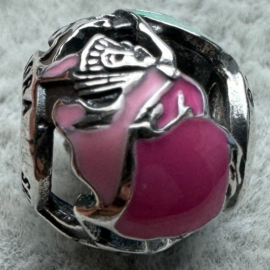 Charm Redondo Aurora Disney