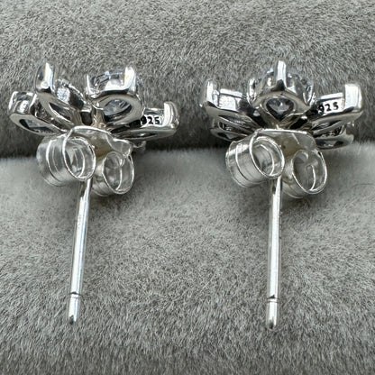 Aretes De Botón Racimo Herbario Reluciente