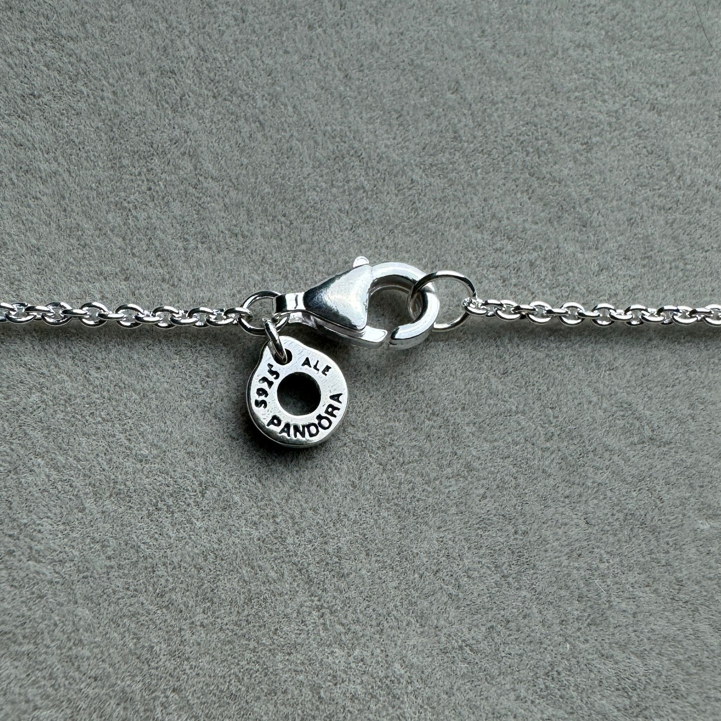 Collar Doble Disco Logotipo 55 cm (Ajustable A 50 Y 45 cm)