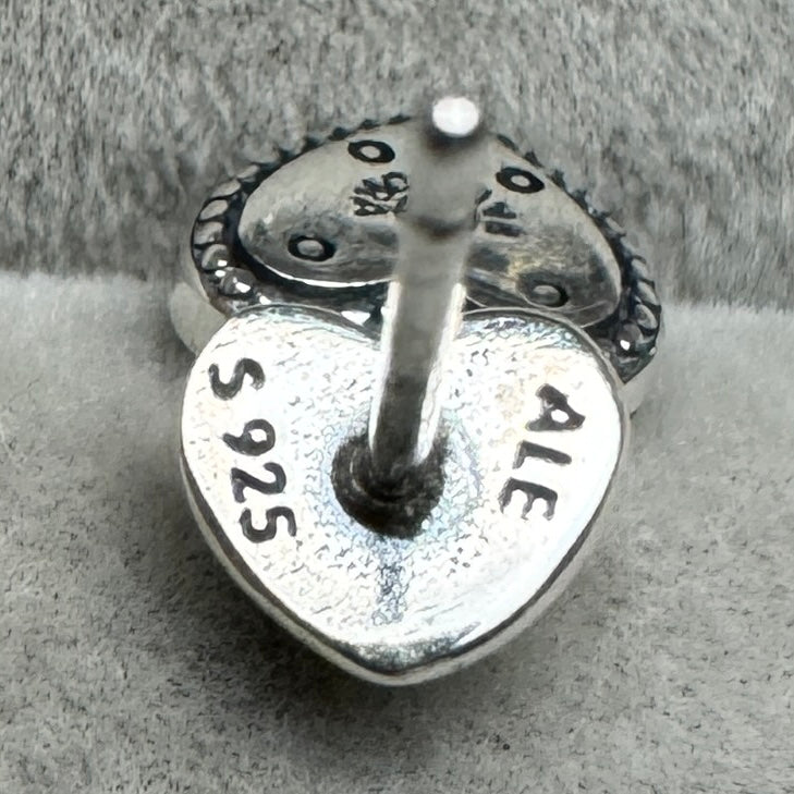 Aretes Candado Logotipo