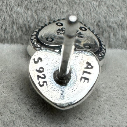 Aretes Candado Logotipo