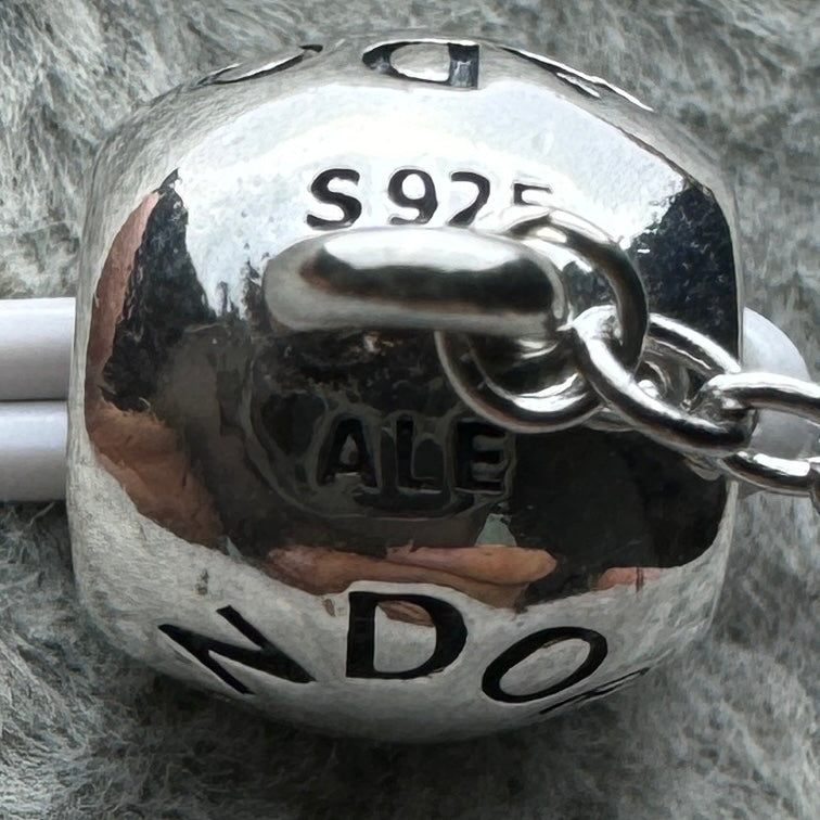Cadena De Seguridad Logotipo