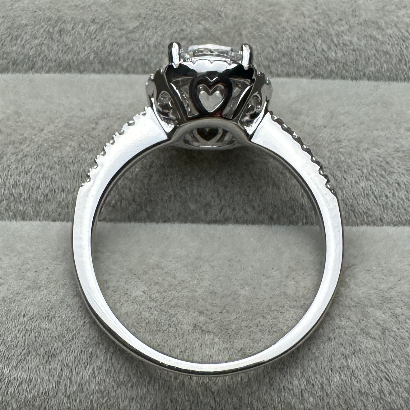 Anillo Círculo Contorno Moissanita