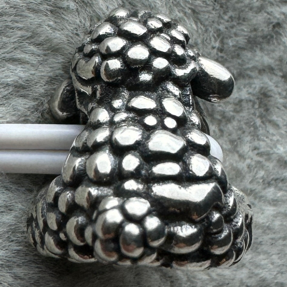 Charm Borrego