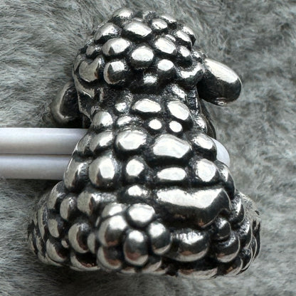 Charm Borrego