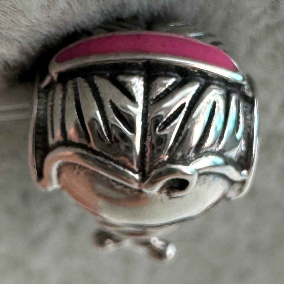 Charm Niña 2