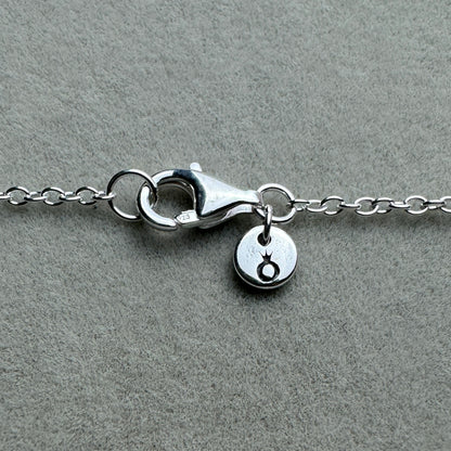 Collar Reluciente 45 cm (Ajustable A 42 Y 38 cm)