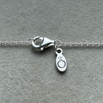 Collar Halo Cuadrado Brillante 45 cm (Ajustable A 42 y 39 cm)