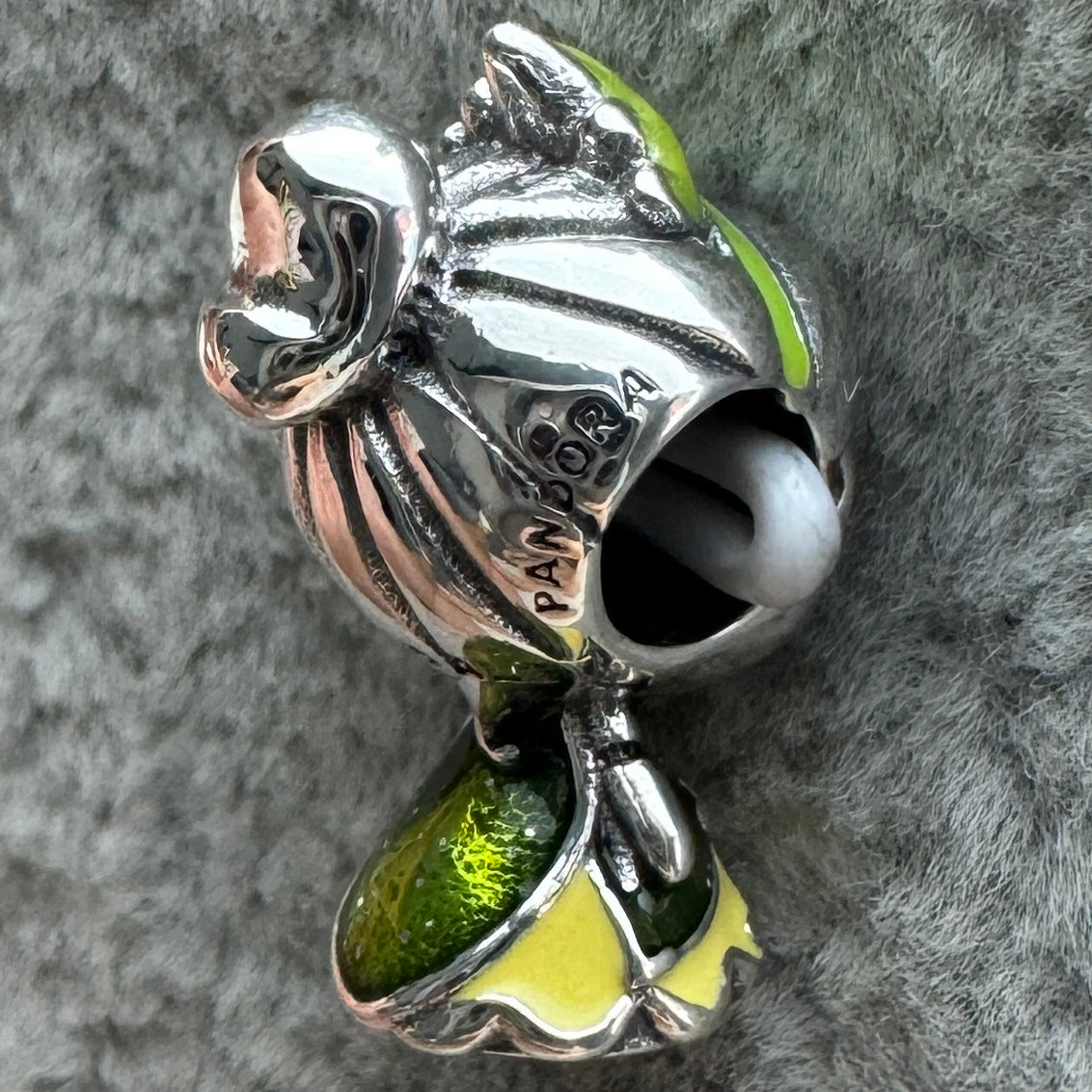 Charm Princesa Tiana Disney