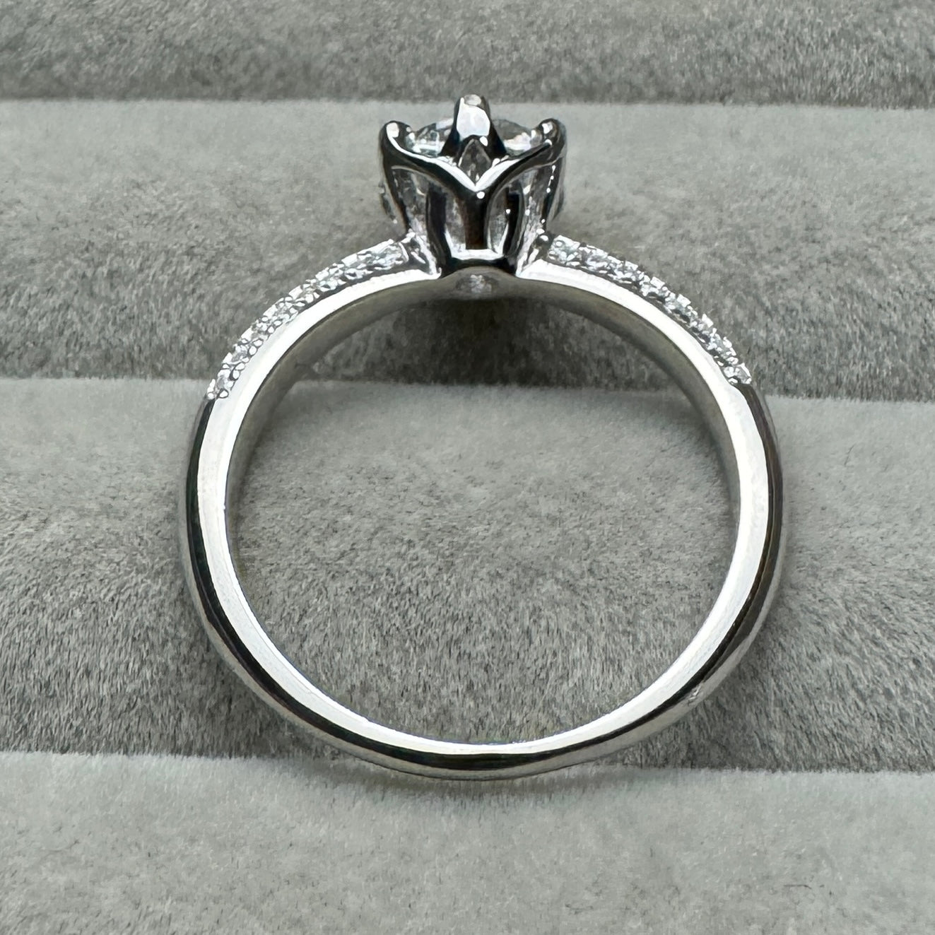 Anillo Círculo Brillante Lateral Moissanita