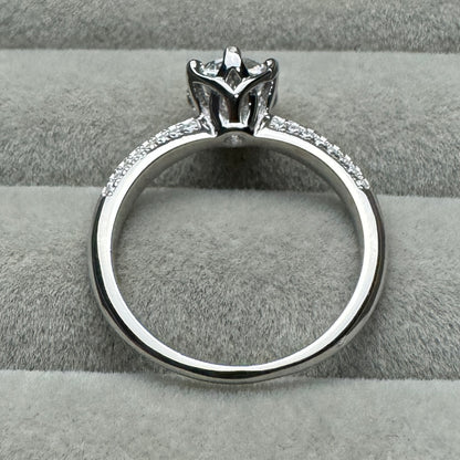 Anillo Círculo Brillante Lateral Moissanita