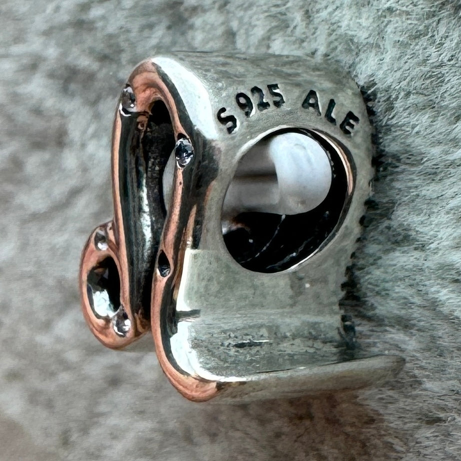 Charm Signo Del Zodiaco Leo Brillante