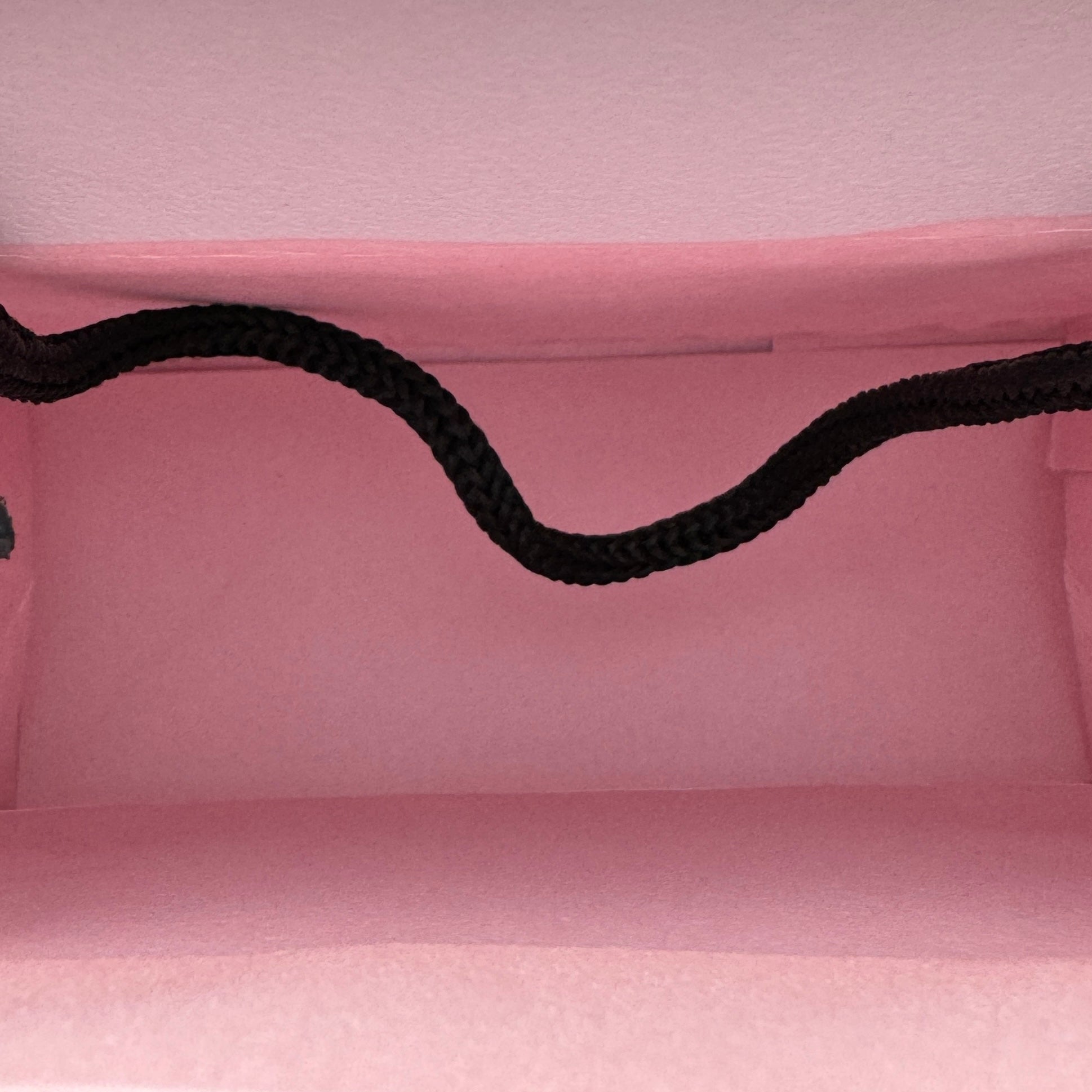 Bolsa De Compras Pandora Vista Del Interior