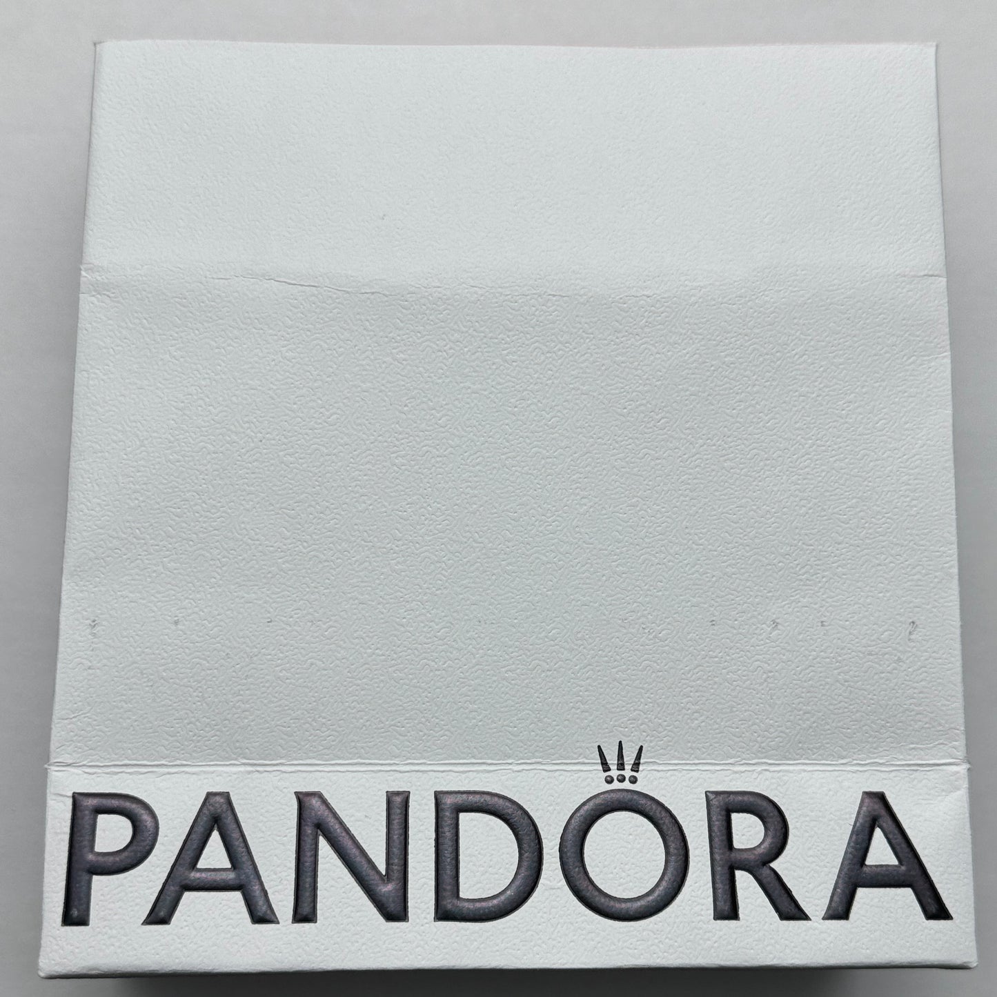 Bolsa De Compras Pandora Vista Desde Atrás