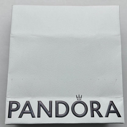 Bolsa De Compras Pandora Vista Desde Atrás