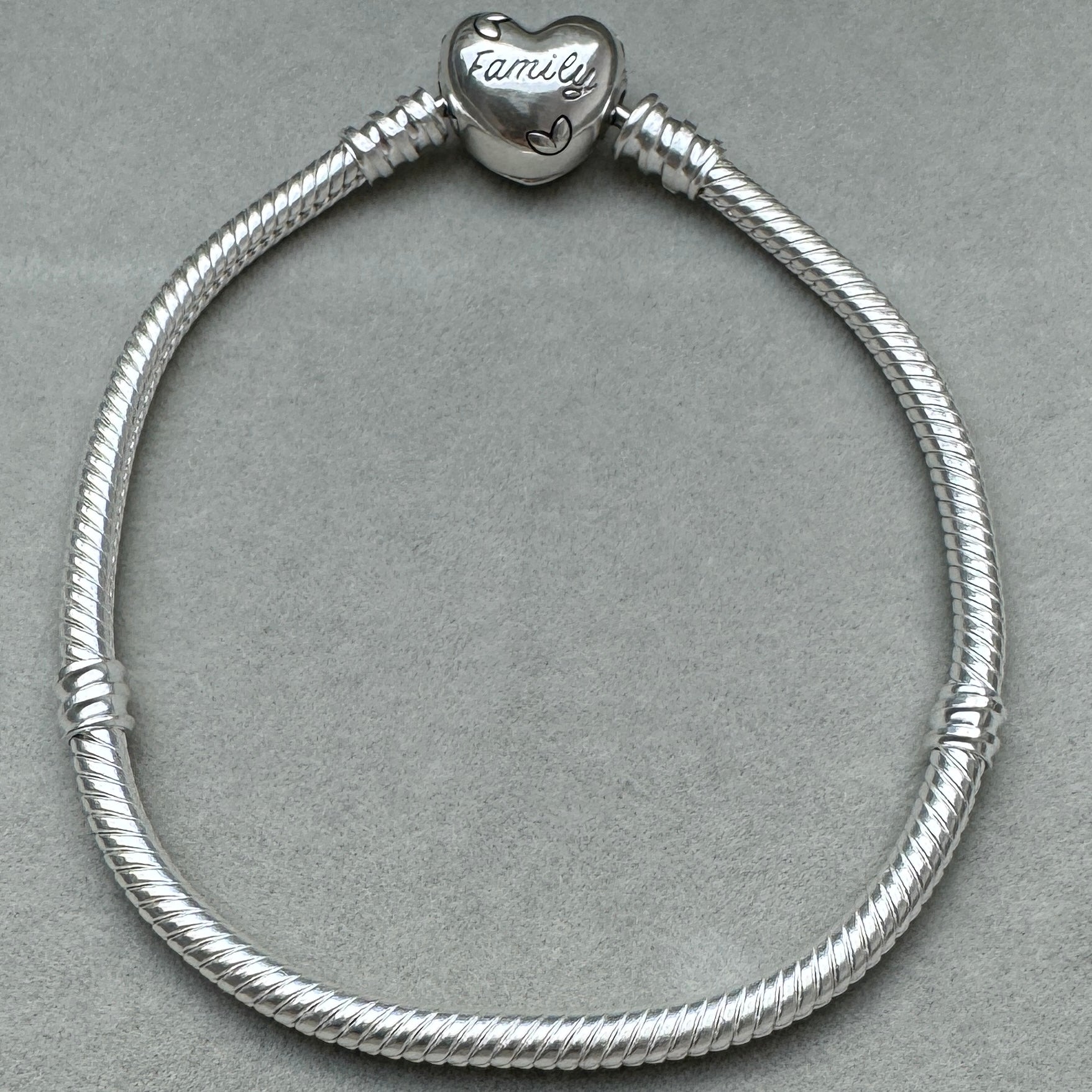 Brazalete Flexible Cierre Árbol Familiar Vista Desde Atrás