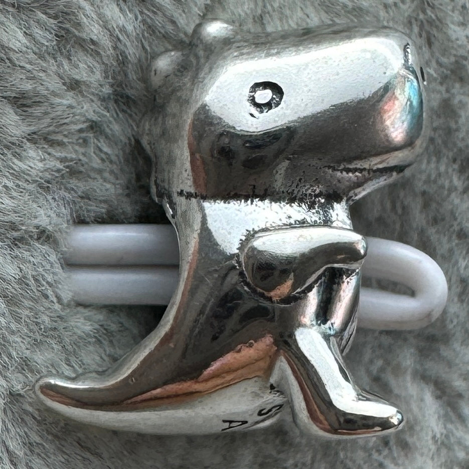 Charm Dinosaurio