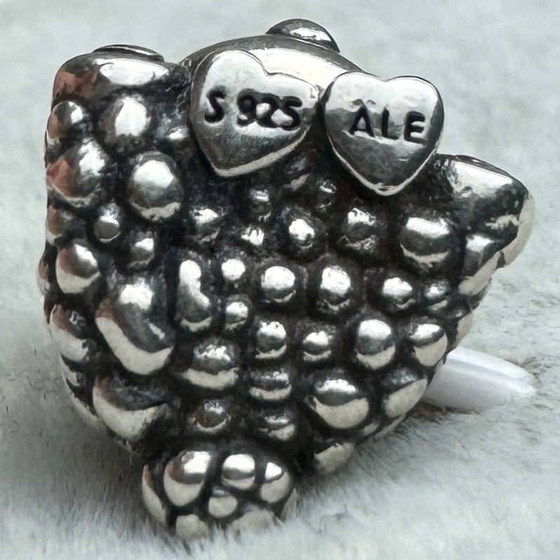 Charm Borrego