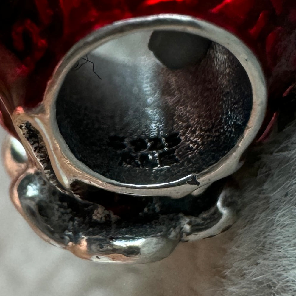 Charm Bolsa De La Suerte Pandora Vista Desde Adentro