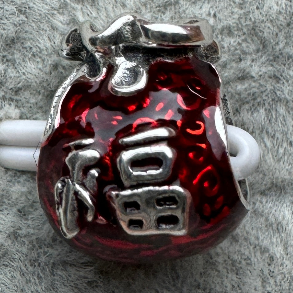 Charm Bolsa De La Suerte Pandora Vista Desde Atrás