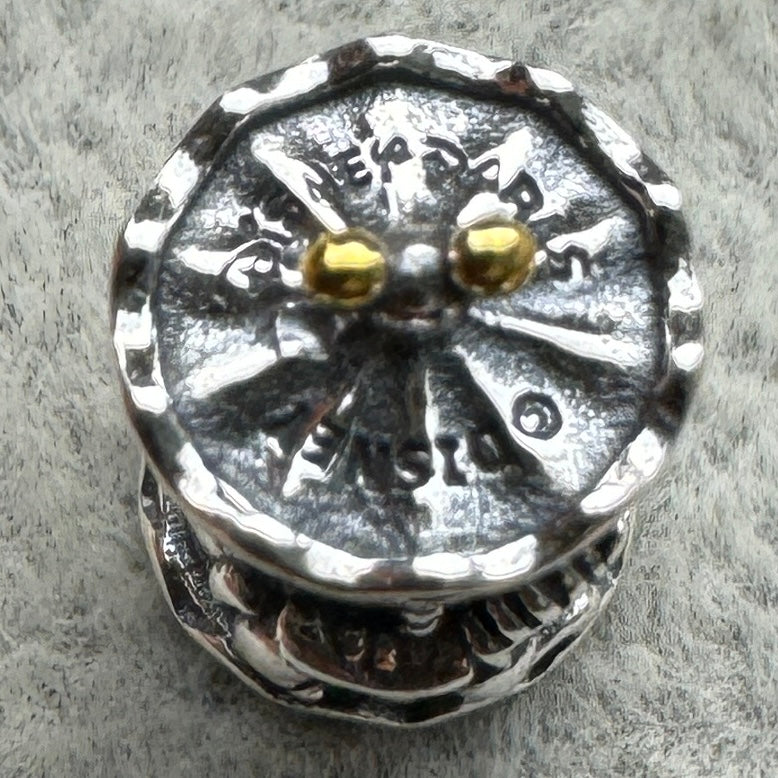 Charm Carrusel Disney Parks Pandora Vista Desde Arriba