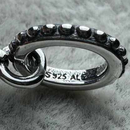 Charm Colgante Herradura De La Buena Suerte Pandora Vista Del Interior Del Aro