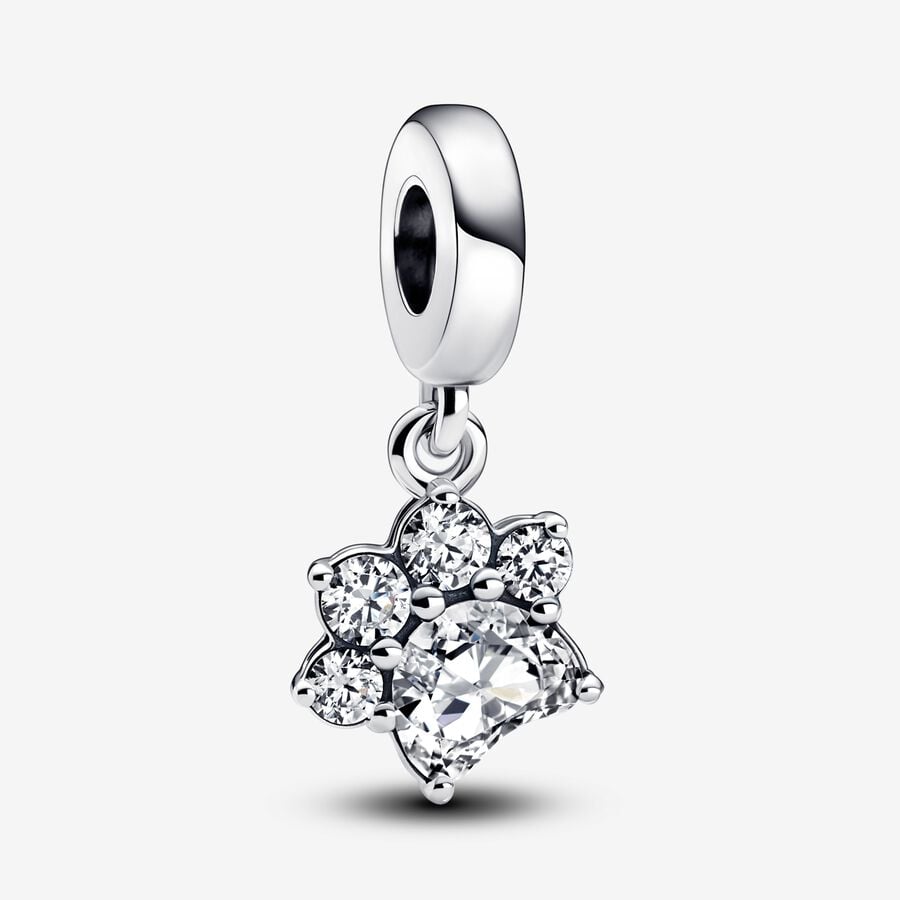 Charm Colgante Huella De Perro Brillante Pandora