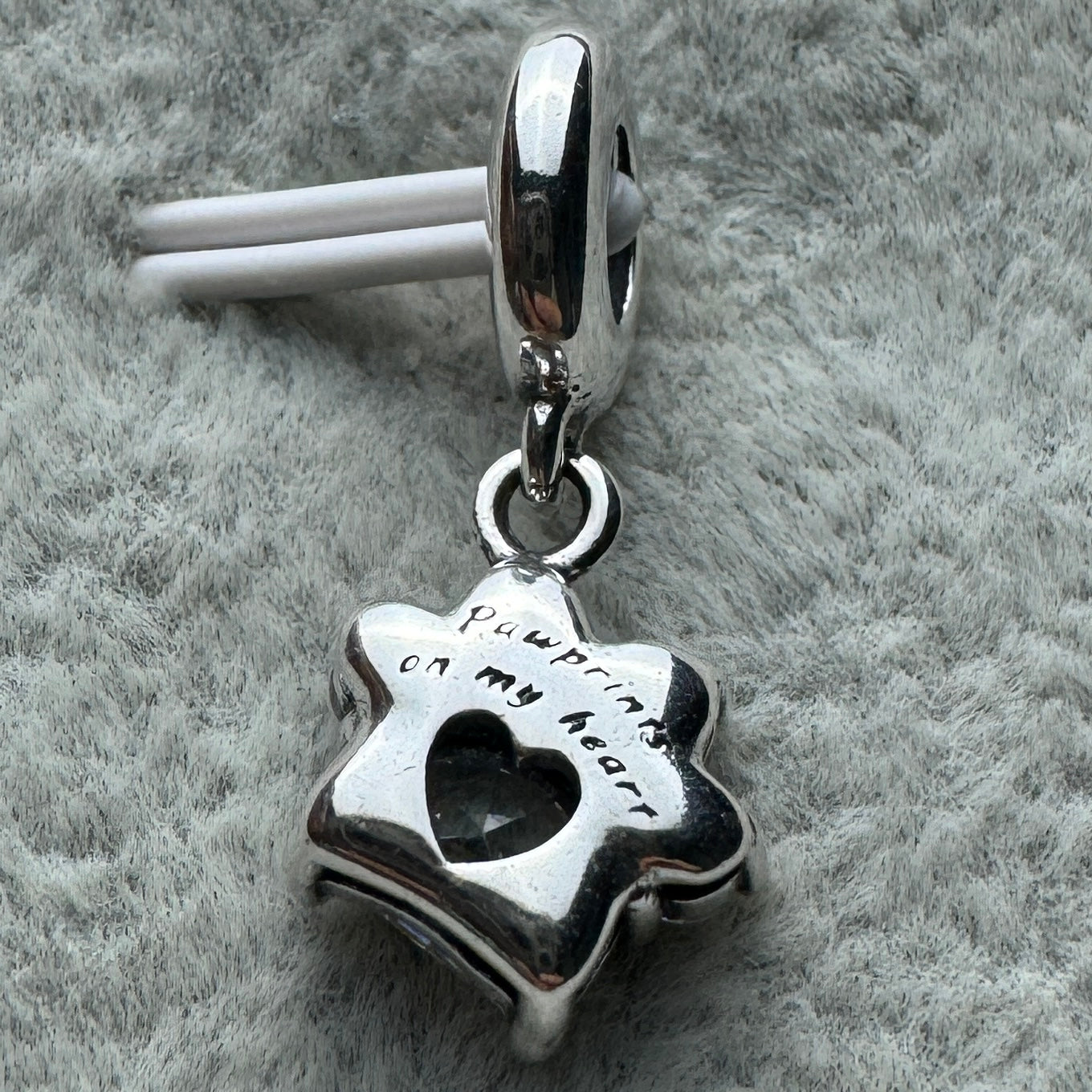 Charm Colgante Huella De Perro Brillante Pandora Vista Charm Colgante Huella De Perro Brillante Pandora Vista Desde Atrás