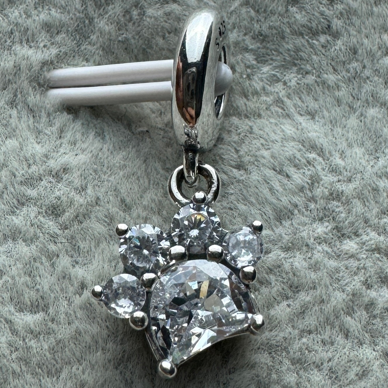 Charm Colgante Huella De Perro Brillante Pandora Vista Frontal