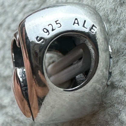 Charm Corazón El Amor Comienza Desde Dentro (Love Starts From Within) Pandora Vista Lateral