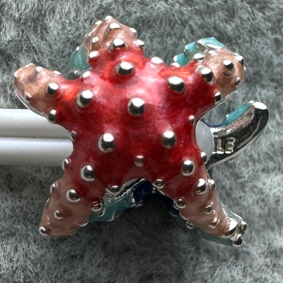 Charm Estrella De Mar Colorida Pandora Vista Desde Atrás
