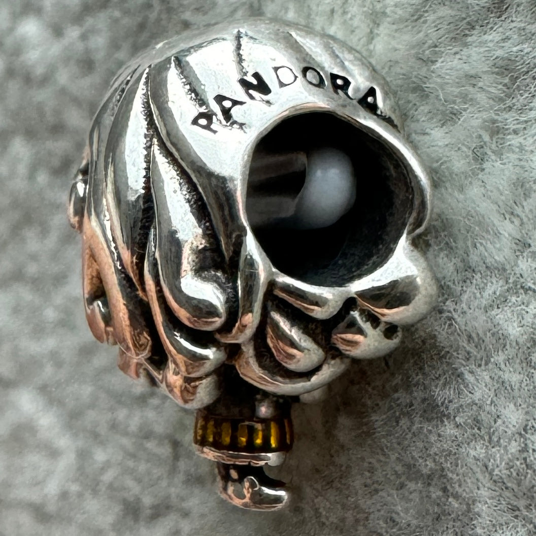Charm Hermione Harry Potter Pandora 3