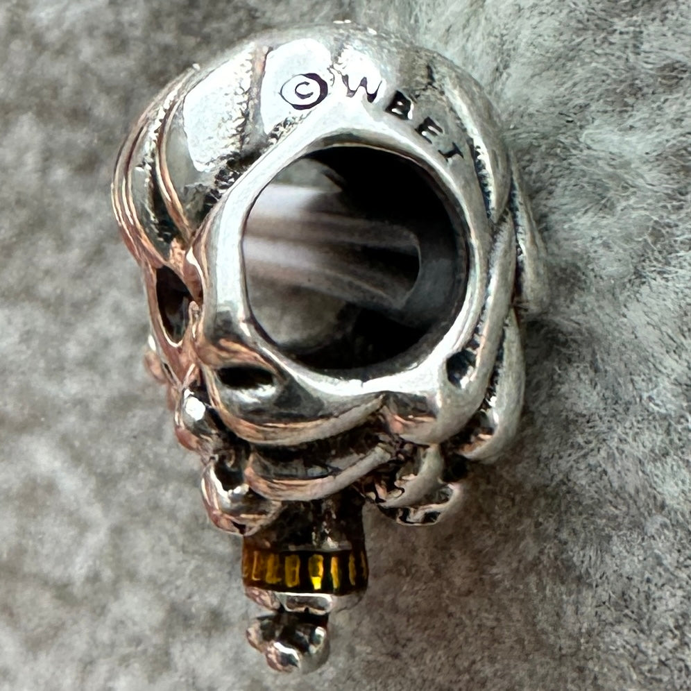 Charm Hermione Harry Potter Pandora 4