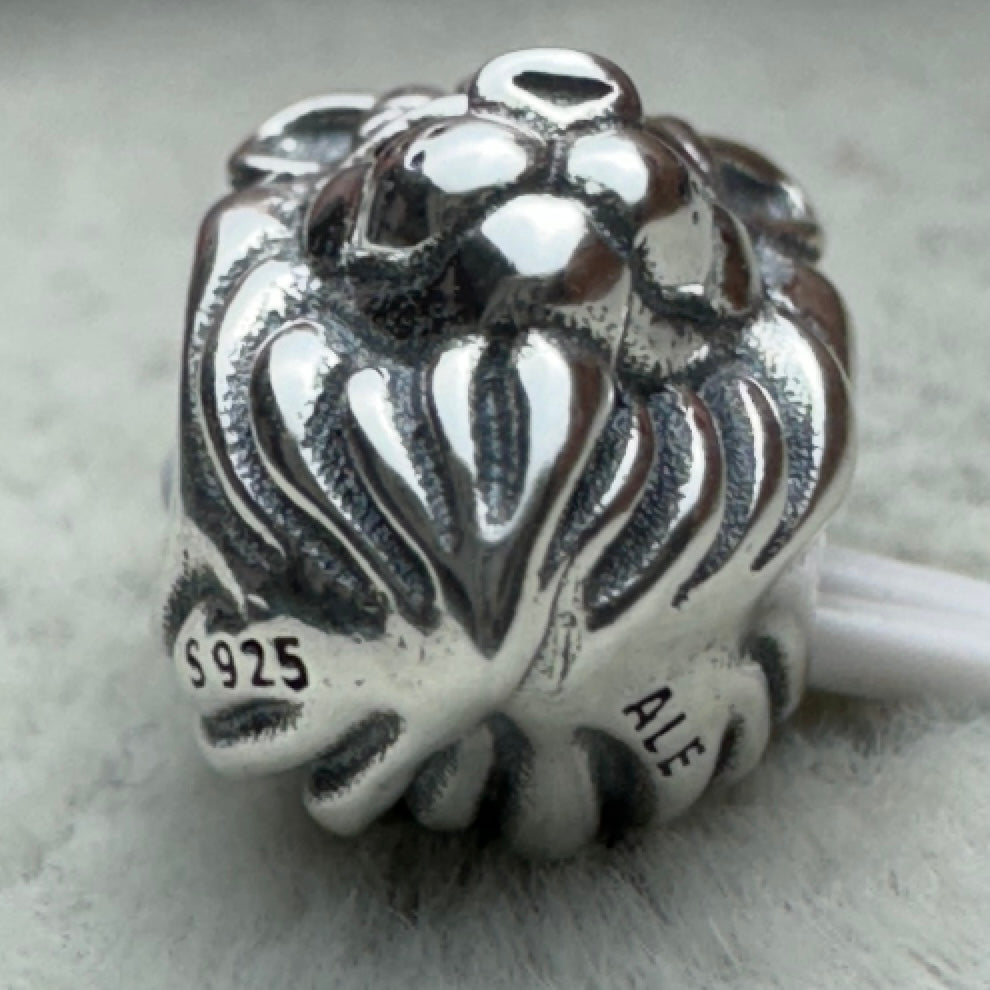 Charm León Real Pandora Vista Desde Abajo