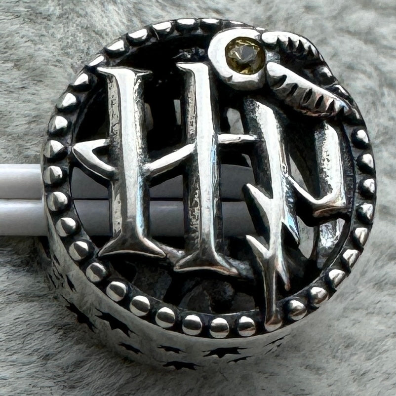 Charm Redondo Harry Potter Pandora Vista Frontal