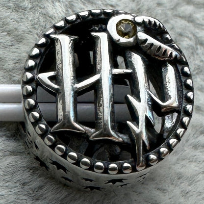 Charm Redondo Harry Potter Pandora Vista Frontal