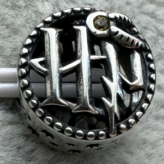 Charm Redondo Harry Potter Pandora Vista Frontal