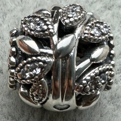 Charm Redondo Naturaleza Pandora Vista Frontal