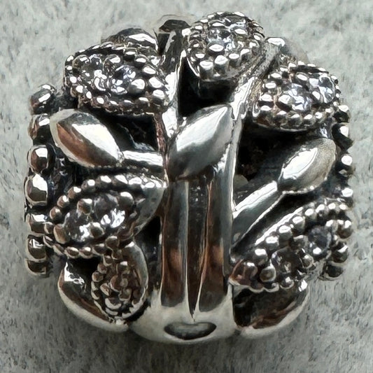 Charm Redondo Naturaleza Pandora Vista Frontal