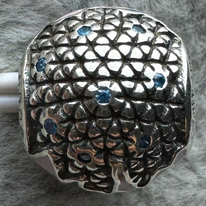 Charm Redondo Rosa, Azul Y Morado Disney Parks Pandora Vista Desde Atrás