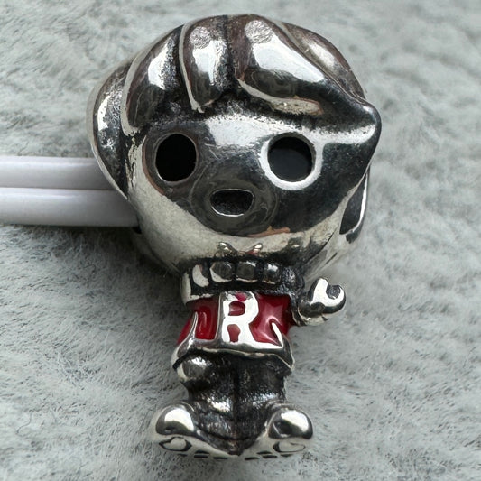 Charm Ron Harry Potter Pandora Vista Frontal