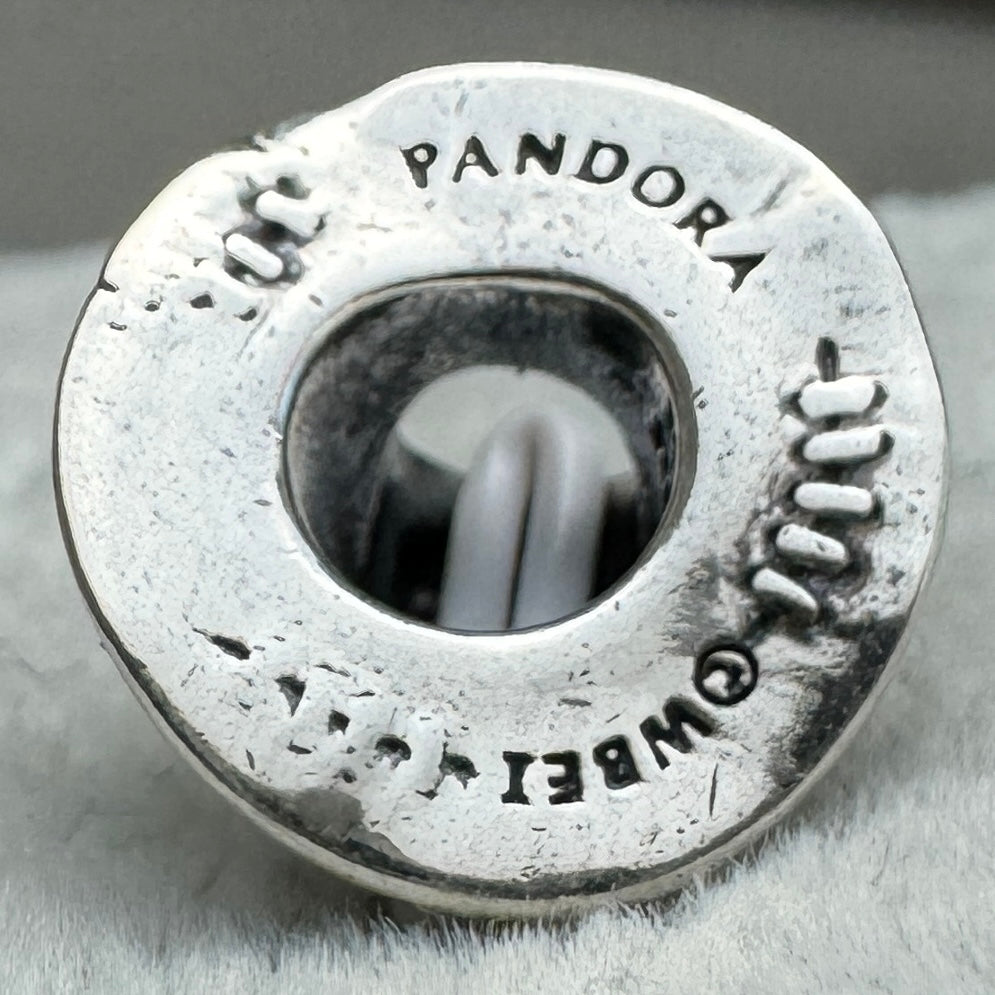 Charm Sombrero Harry Potter Pandora Vista Desde Abajo