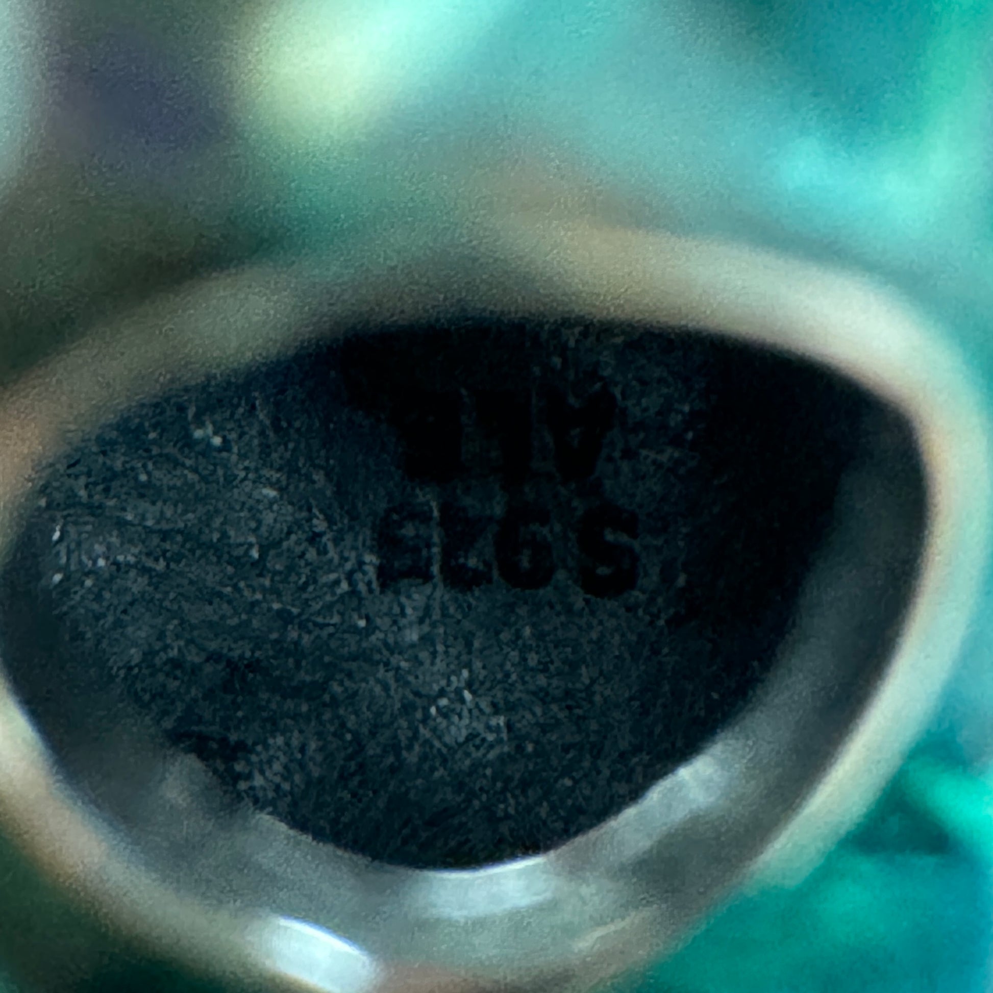 Charm Sulley De Monsters. Inc Disney Pandora Vista Desde Adentro