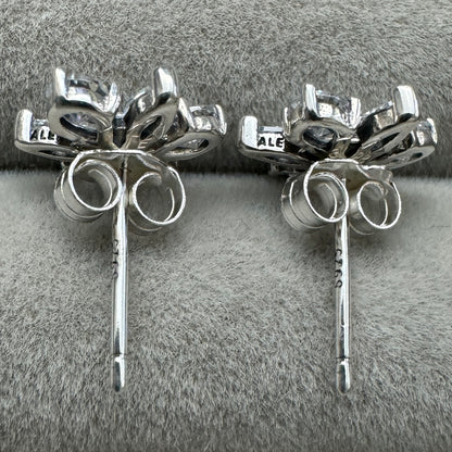 Aretes De Botón Racimo Herbario Reluciente